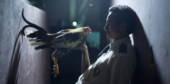 Urban Distrib - All About the Feathers
